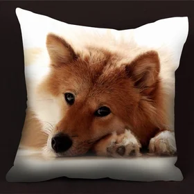 Подушки с фото: подушка с собакой 2